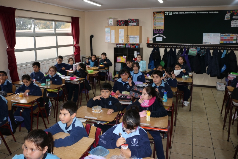 Día de la Actividad Física